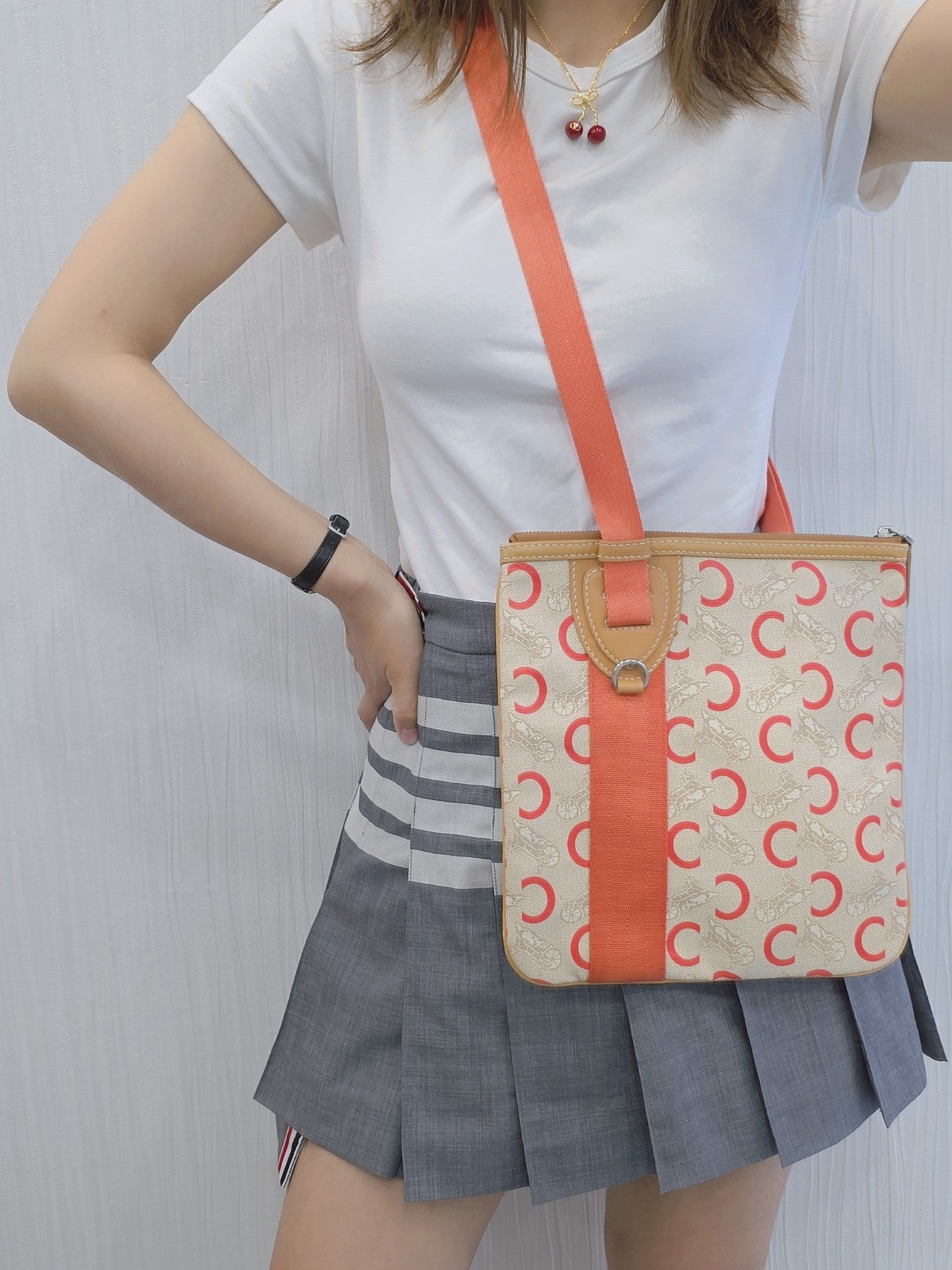 Celine C Macadam Canvas Shoulder Bag (Pre-Owned)
