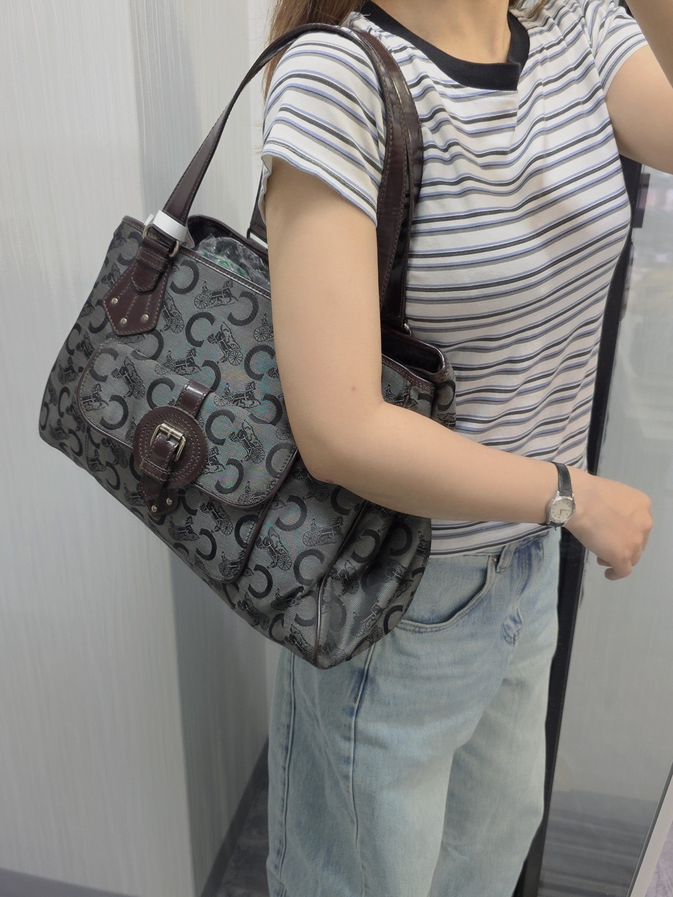 Celine C Macadam Canvas Tote Bag (Pre-Owned)