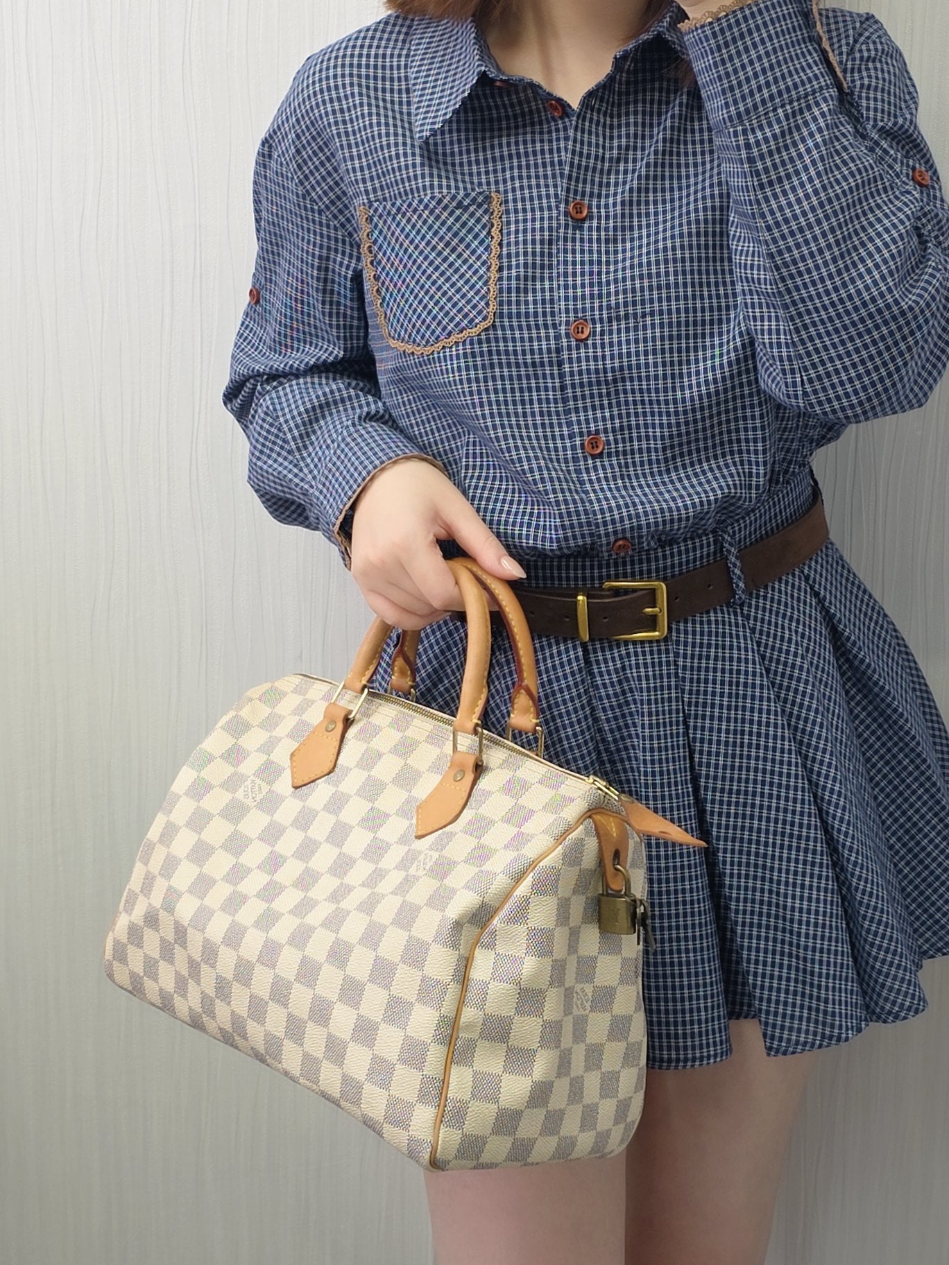 Louis Vuitton Speedy Damier Bag (Pre-owned)
