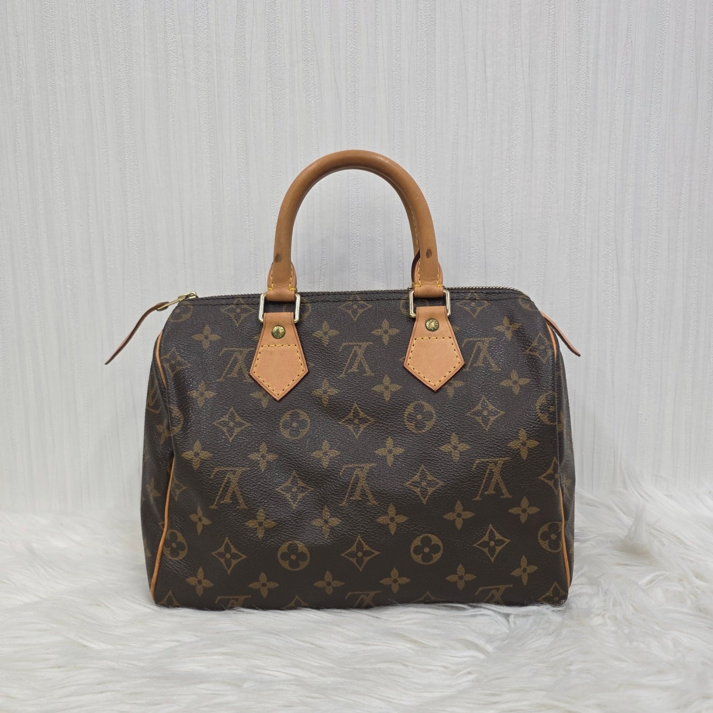 Louis Vuitton Speedy 25 Handbag (Pre-owned)