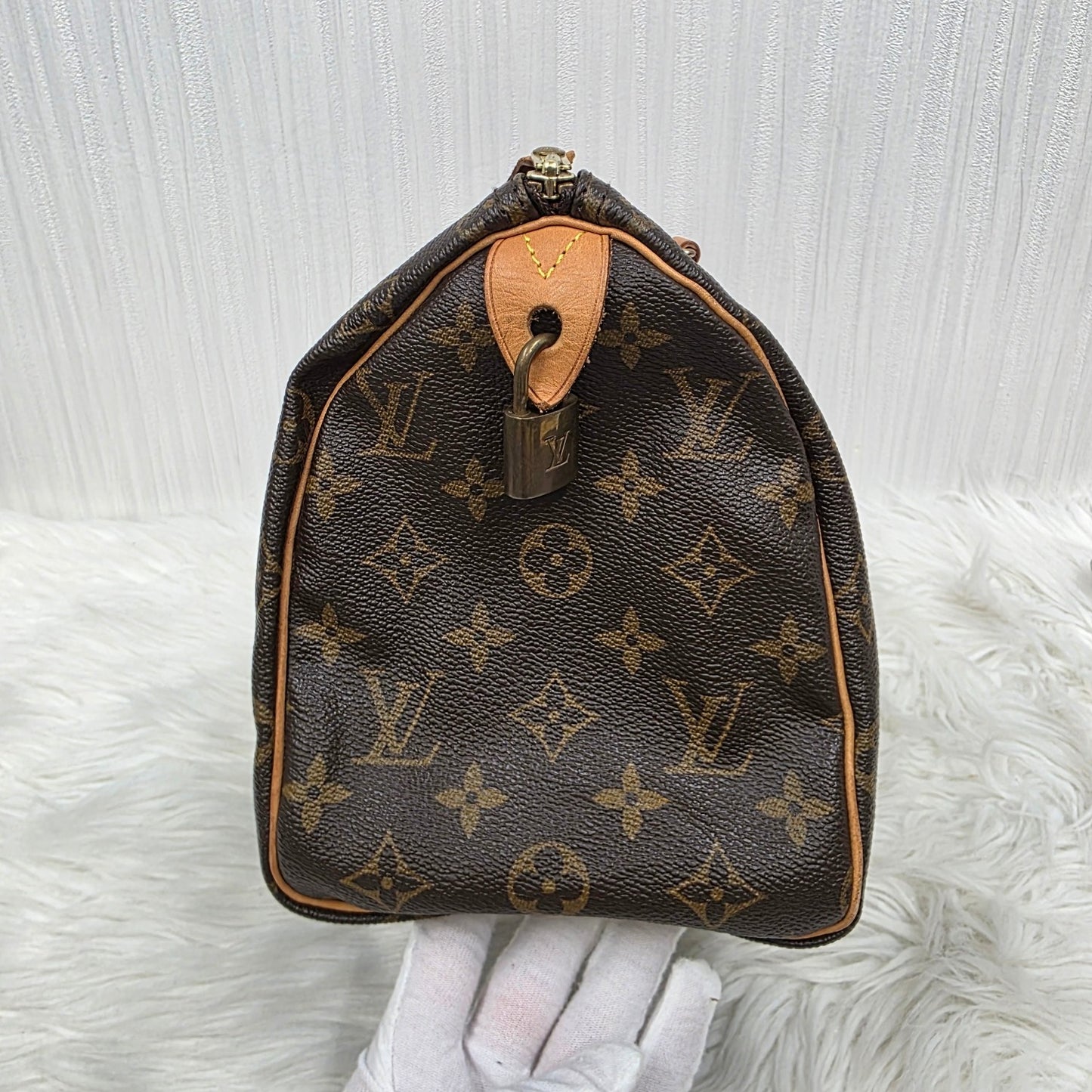 Louis Vuitton Speedy 25 Handbag (Pre-owned)