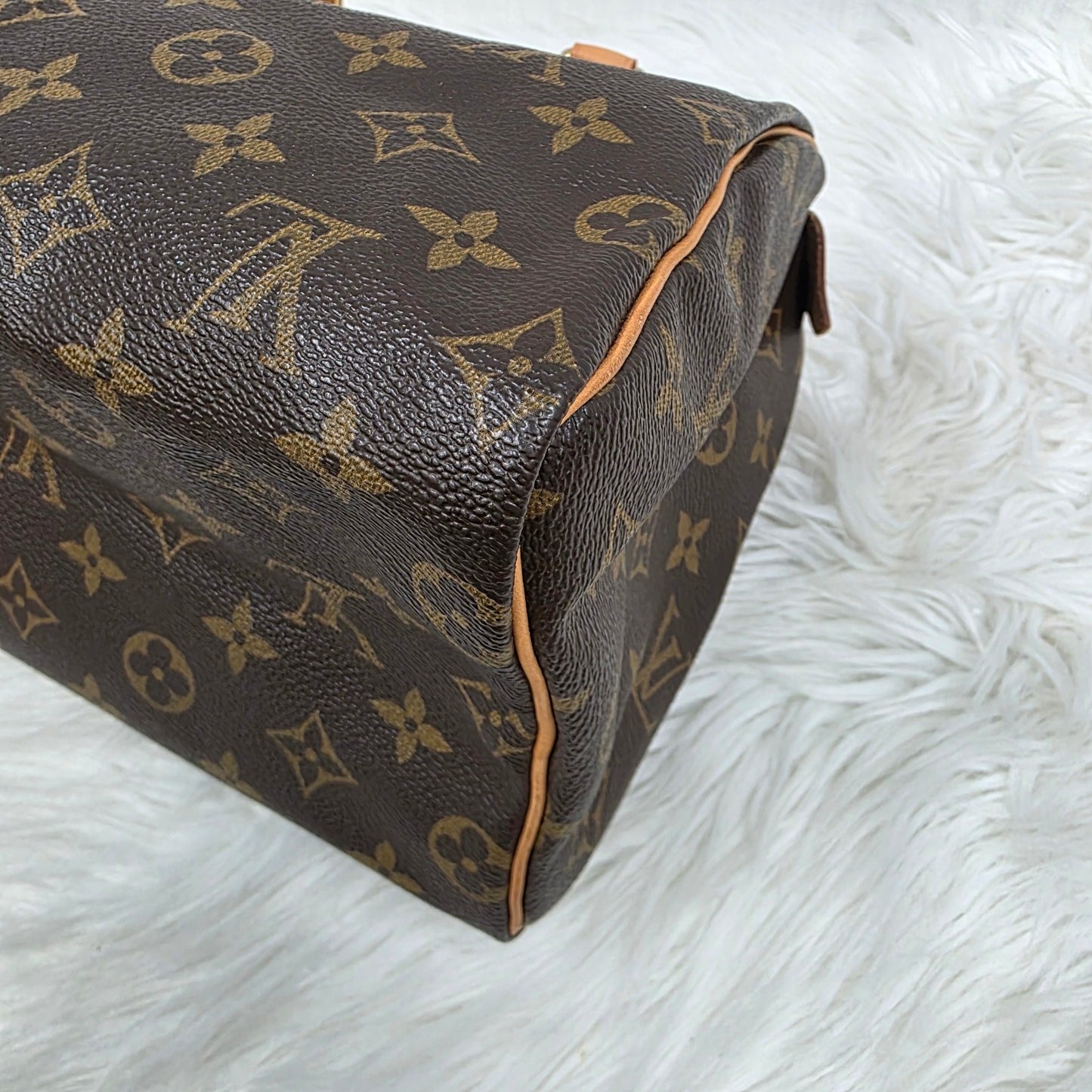 Louis Vuitton Speedy 25 Handbag (Pre-owned)
