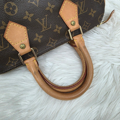 Louis Vuitton Speedy 25 Handbag (Pre-owned)