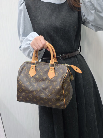 Louis Vuitton Speedy 25 Handbag (Pre-owned)