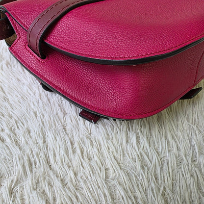 Loewe Mini Gate Bag (Pre-owned)