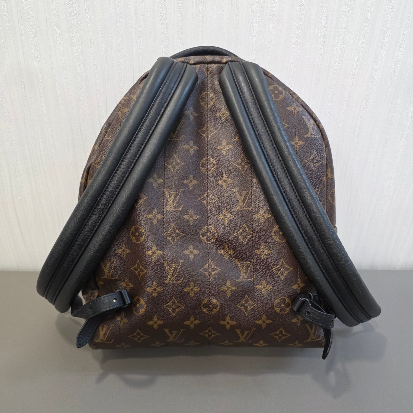 Louis Vuitton Palm Springs PM Backpack (Pre-Owned)