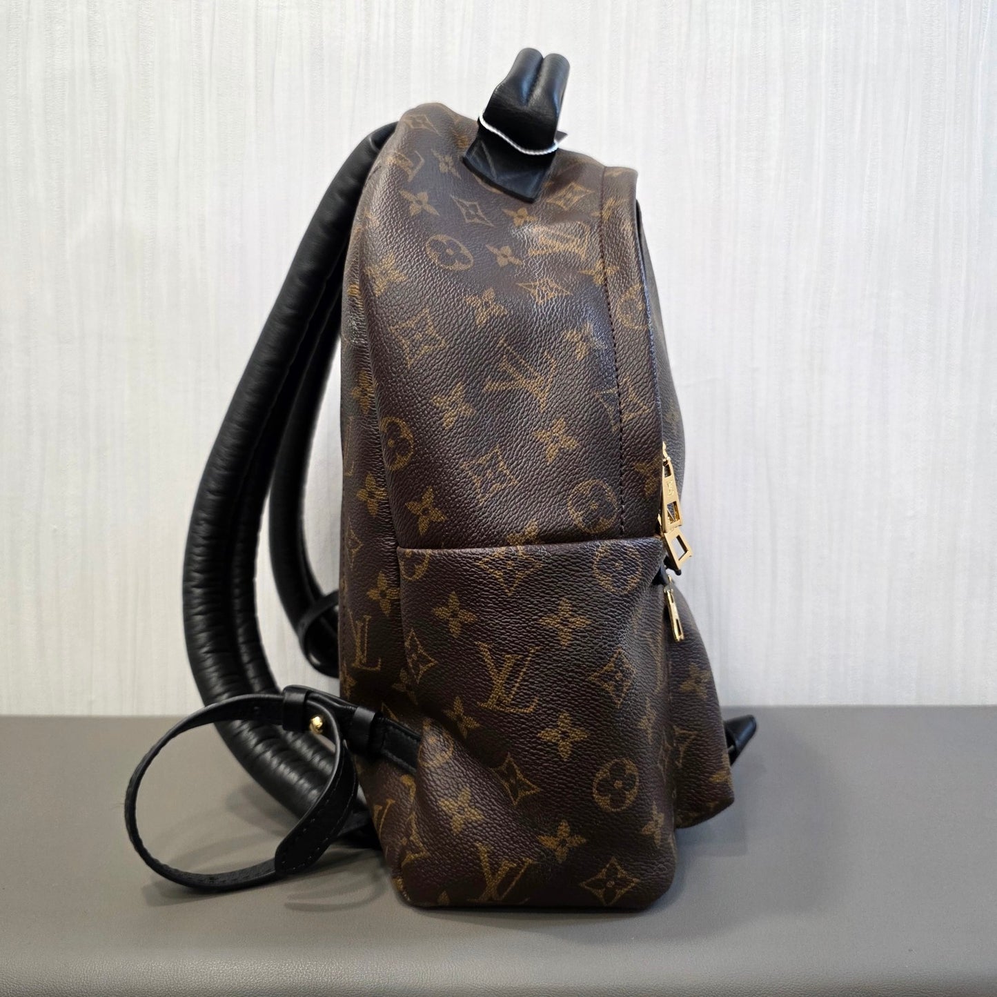 Louis Vuitton Palm Springs PM Backpack (Pre-Owned)