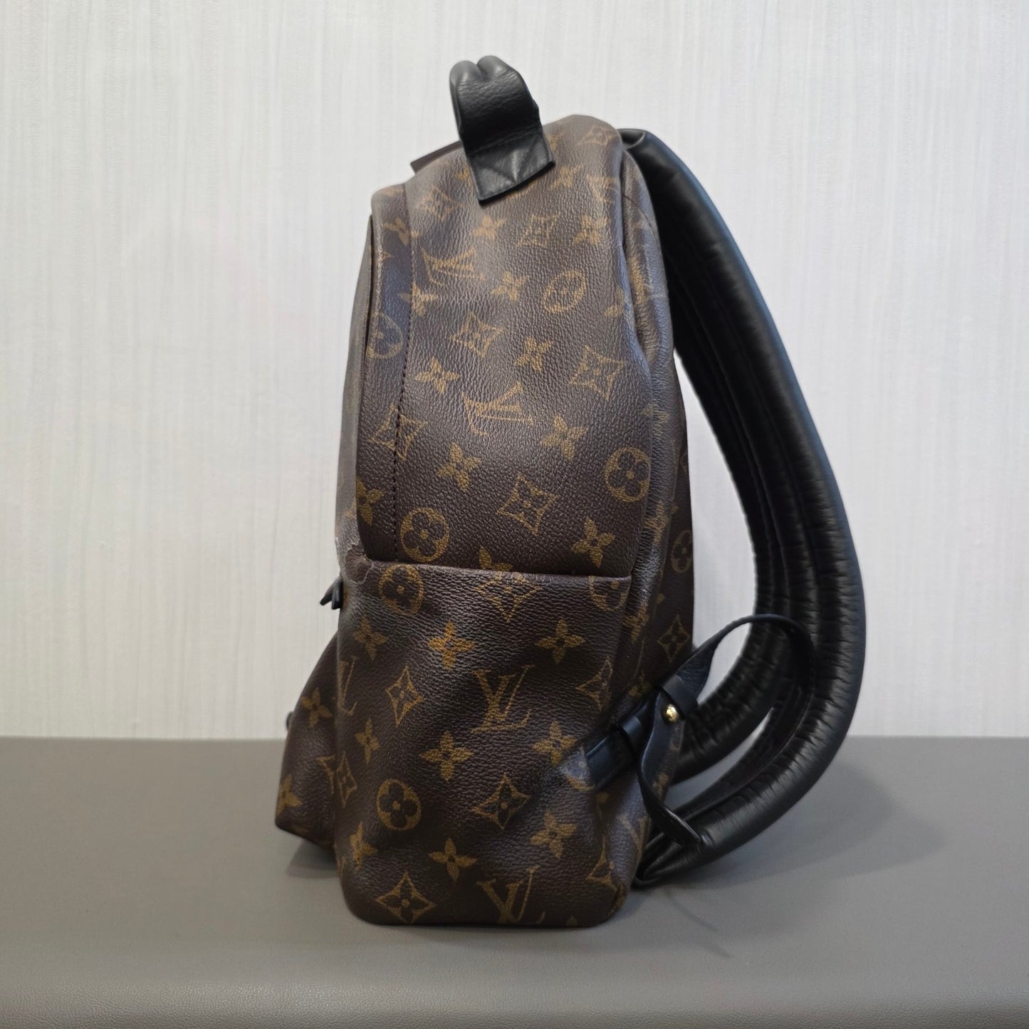 Louis Vuitton Palm Springs PM Backpack (Pre-Owned)