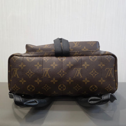 Louis Vuitton Palm Springs PM Backpack (Pre-Owned)