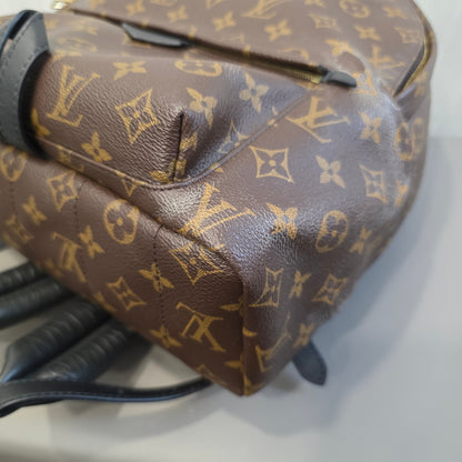 Louis Vuitton Palm Springs PM Backpack (Pre-Owned)