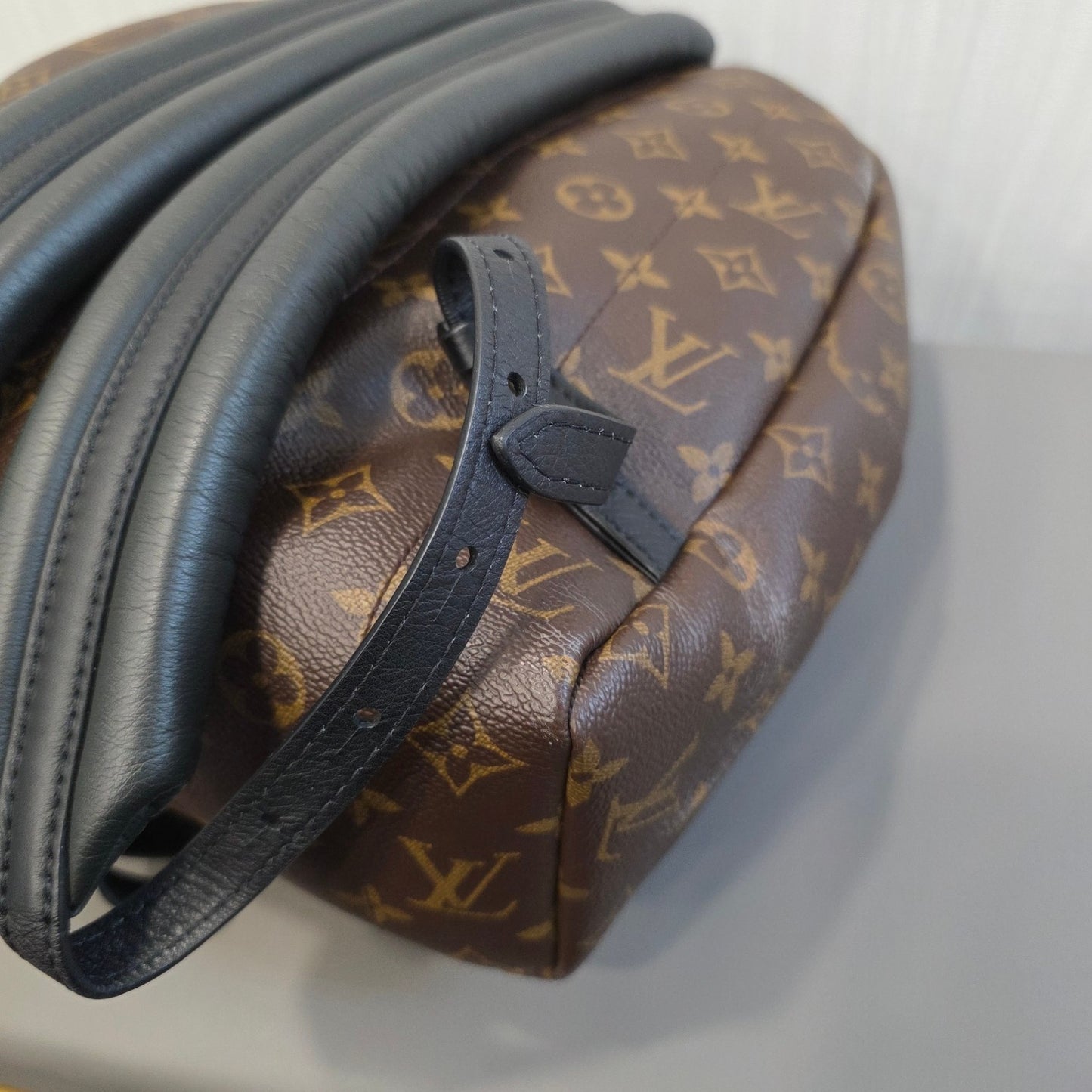 Louis Vuitton Palm Springs PM Backpack (Pre-Owned)