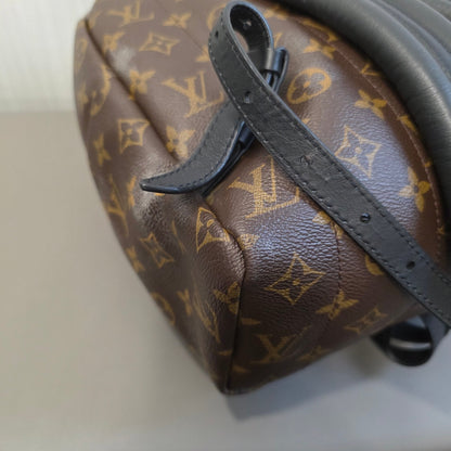 Louis Vuitton Palm Springs PM Backpack (Pre-Owned)