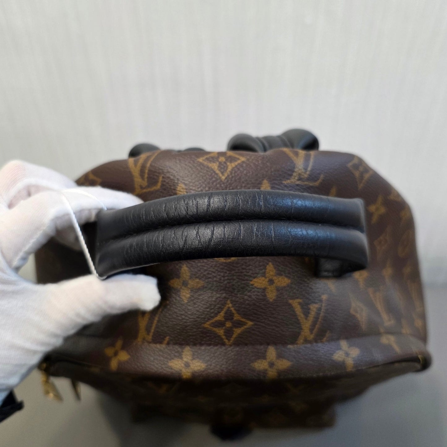 Louis Vuitton Palm Springs PM Backpack (Pre-Owned)