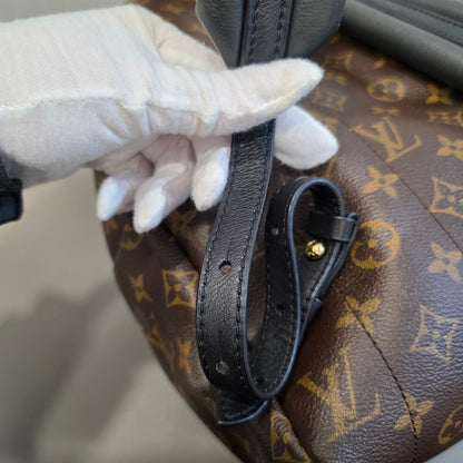 Louis Vuitton Palm Springs PM Backpack (Pre-Owned)