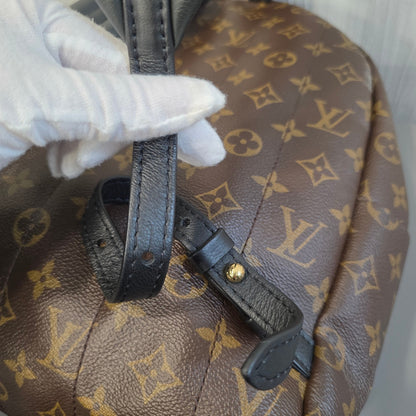 Louis Vuitton Palm Springs PM Backpack (Pre-Owned)