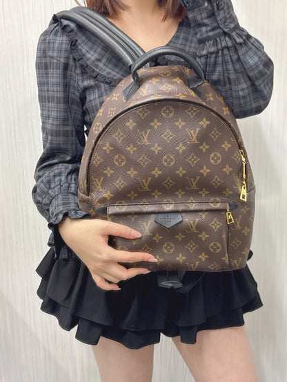 Louis Vuitton Palm Springs PM Backpack (Pre-Owned)