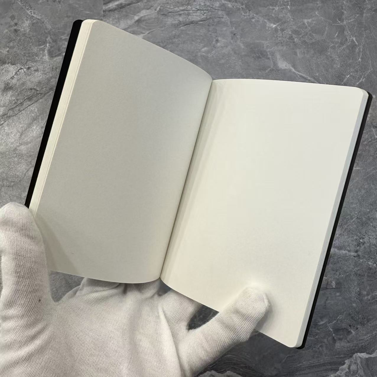 Dior Notebook Set (Pre-Owned)