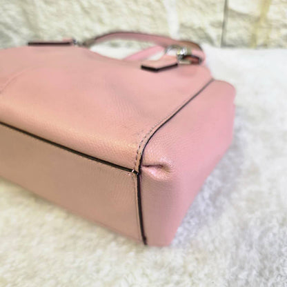 Coach Mini Crossbody Bag (Pre-Owned)