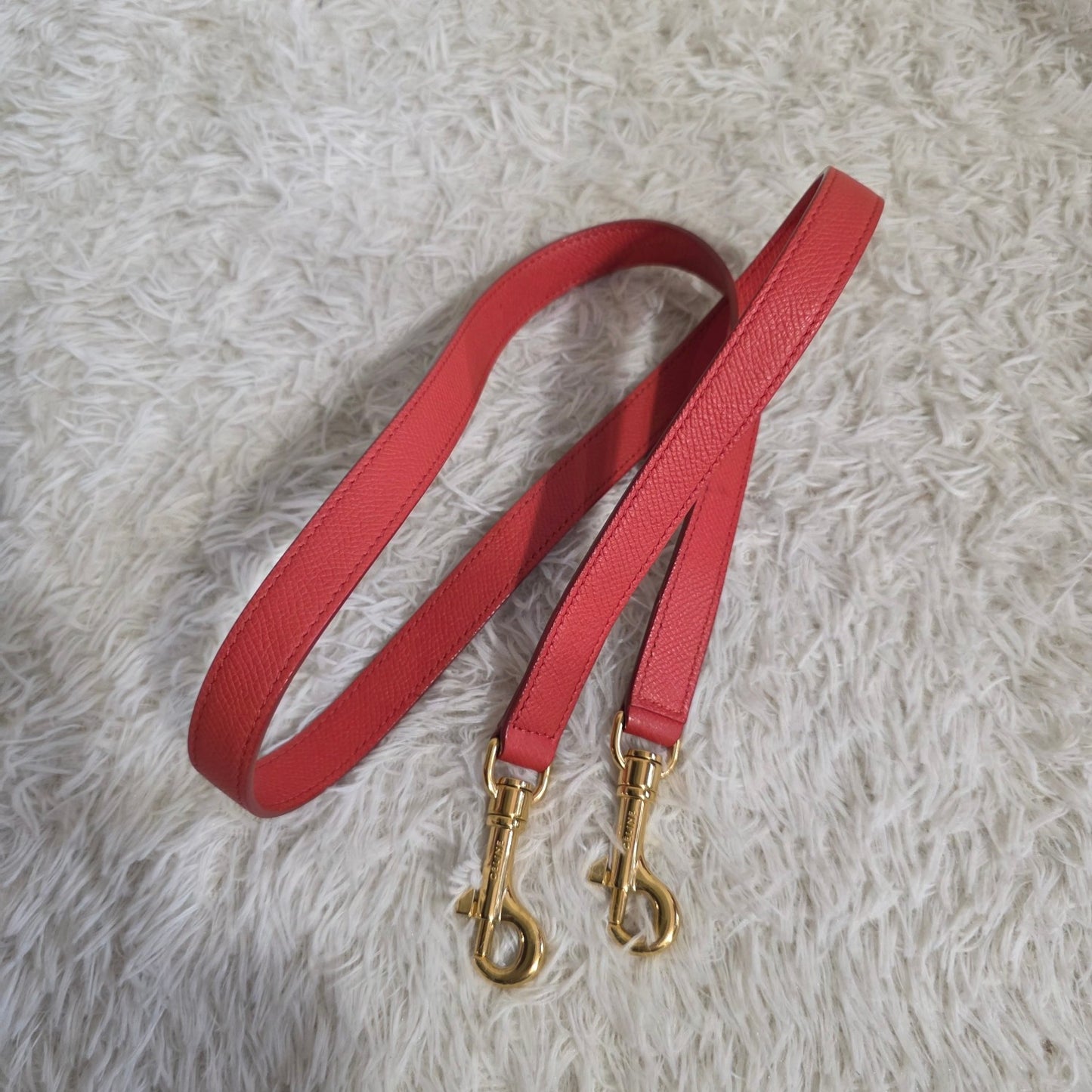 Celine Micro Belt Bag Grained Leather Handbag (Pre-Owned)