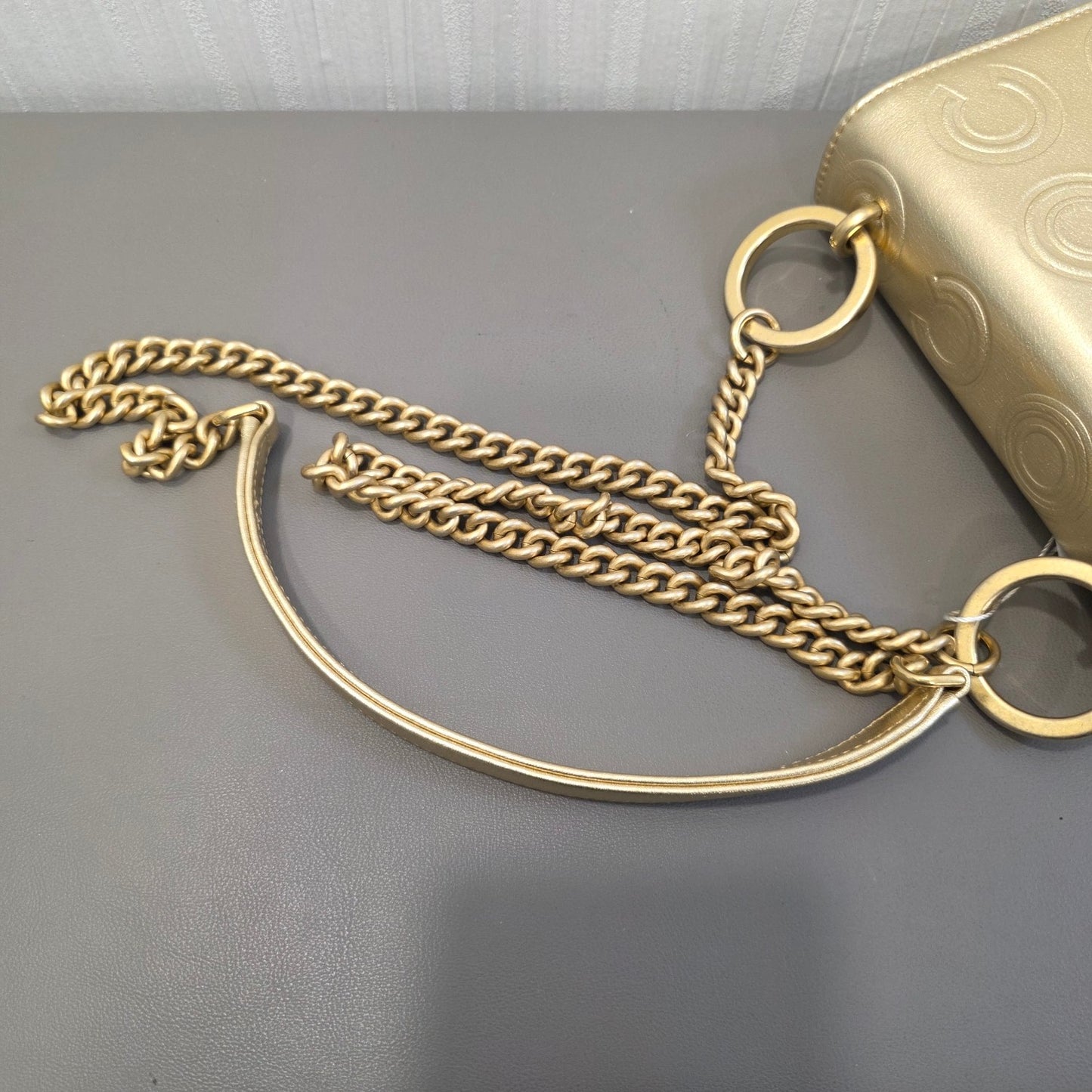 Chanel CC Logo Embossed Metallic Chain Shoulder Bag (Pre-Owned)
