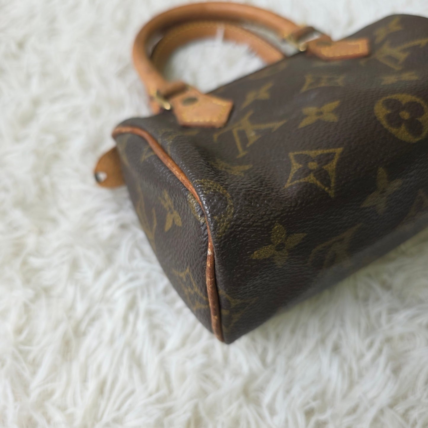 Louis Vuitton Monogram Mini Speedy Handbag (Pre-Owned)