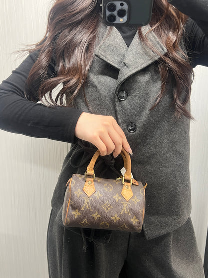 Louis Vuitton Monogram Mini Speedy Handbag (Pre-Owned)