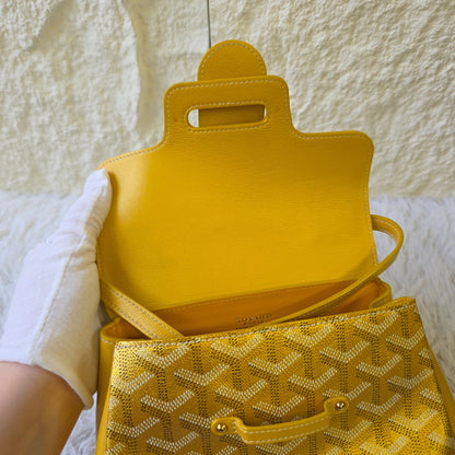 Goyard Saigon Mini Top Handle Bag (Pre-Owned)