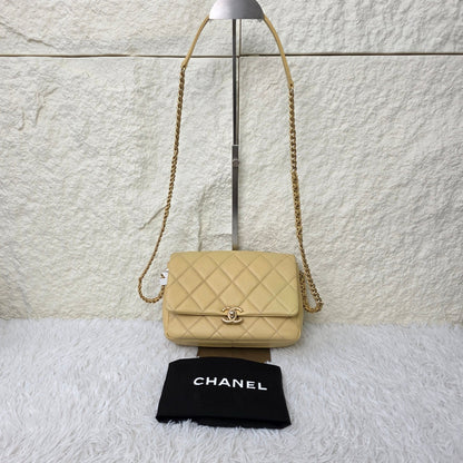 Chanel Quilted Leather Chain Wallet Bag (Pre-Owned)