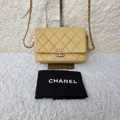 Chanel Quilted Leather Chain Wallet Bag (Pre-Owned)
