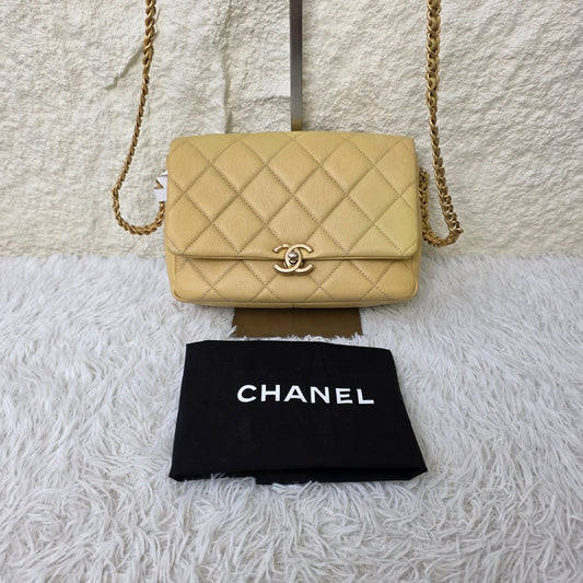 Chanel Quilted Leather Chain Wallet Bag (Pre-Owned)