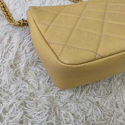 Chanel Quilted Leather Chain Wallet Bag (Pre-Owned)