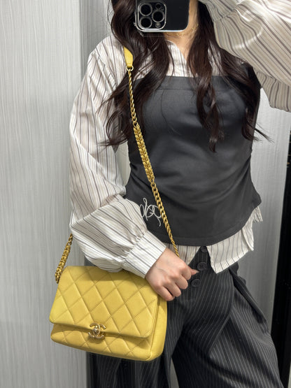 Chanel Quilted Leather Chain Wallet Bag (Pre-Owned)
