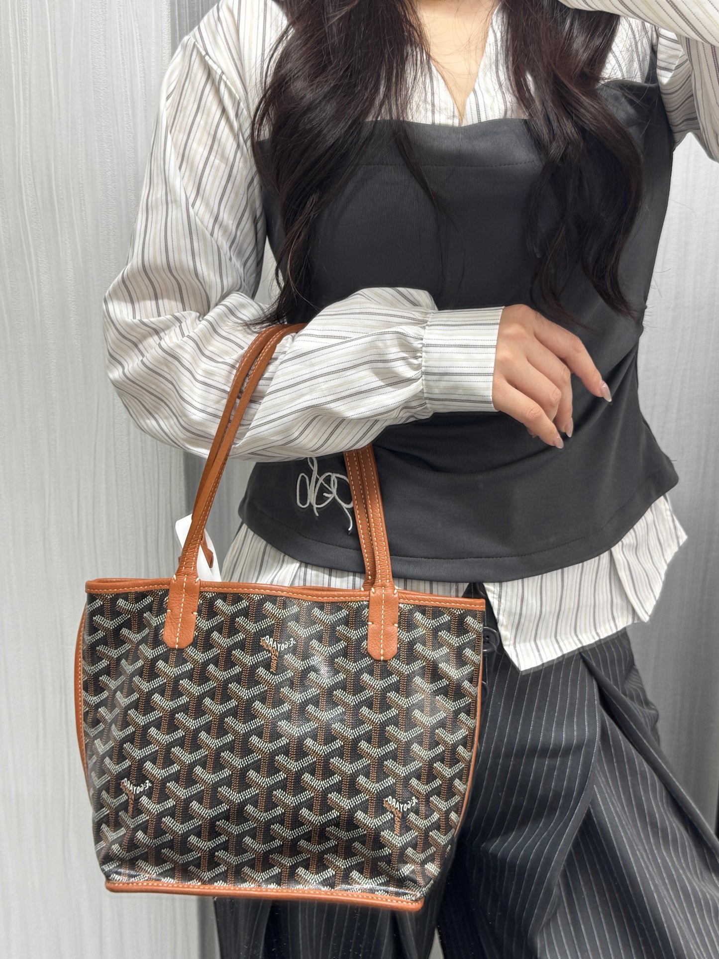 Goyard Anjou Mini Tote Bag (Pre-Owned)