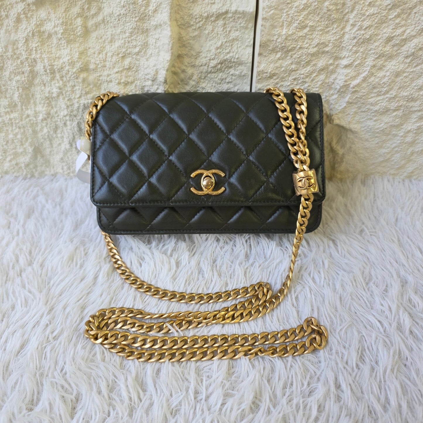 Chanel Quilted Leather Chain Wallet Bag (Pre-Owned)