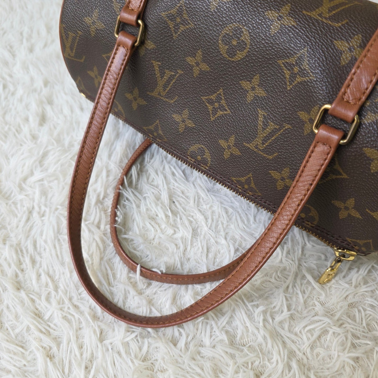 Louis Vuitton Monogram Canvas Papillon Handbag (Pre-Owned)