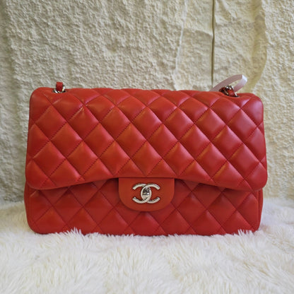 Chanel Classic Quilted Leather Double Flap Bag (Pre-Owned)