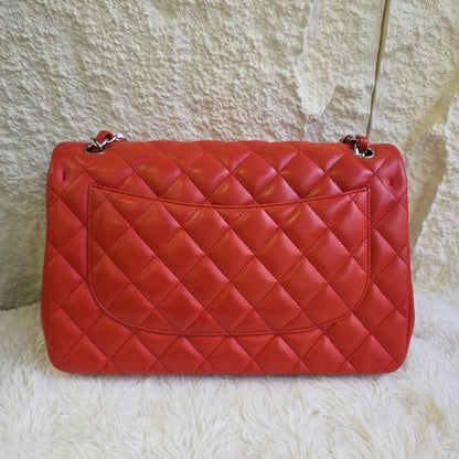 Chanel Classic Quilted Leather Double Flap Bag (Pre-Owned)