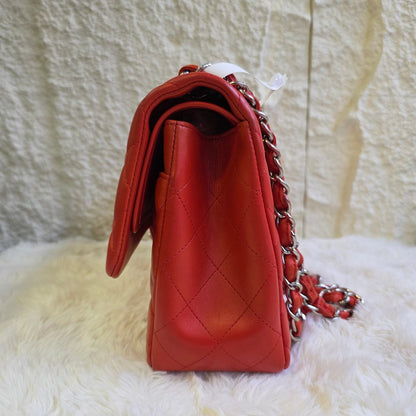 Chanel Classic Quilted Leather Double Flap Bag (Pre-Owned)