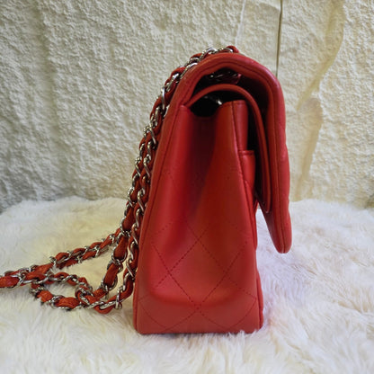 Chanel Classic Quilted Leather Double Flap Bag (Pre-Owned)