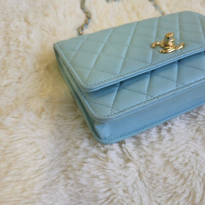 Chanel Quilted Leather Wallet on Chain Bag (Pre-Owned)