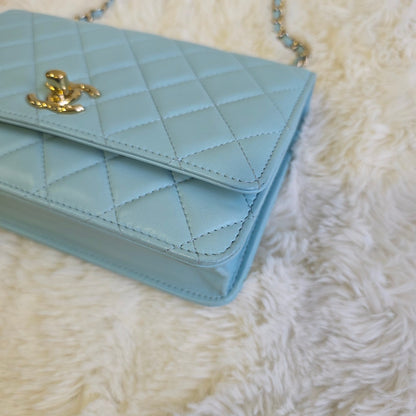 Chanel Quilted Leather Wallet on Chain Bag (Pre-Owned)