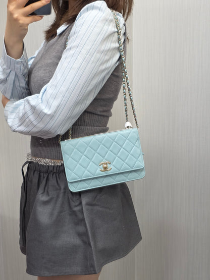 Chanel Quilted Leather Wallet on Chain Bag (Pre-Owned)