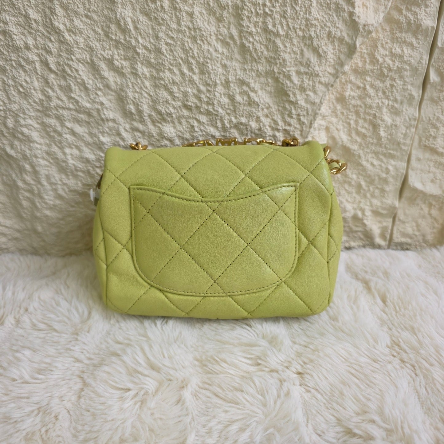 Chanel Quilted Leather Vanity Chain Bag (Pre-Owned)