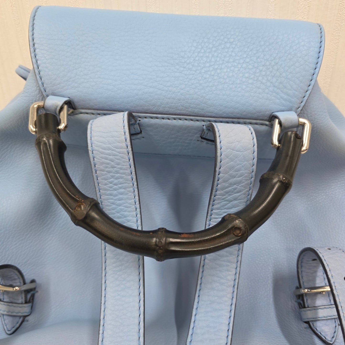 GUCCI Backpack (Pre-owned)