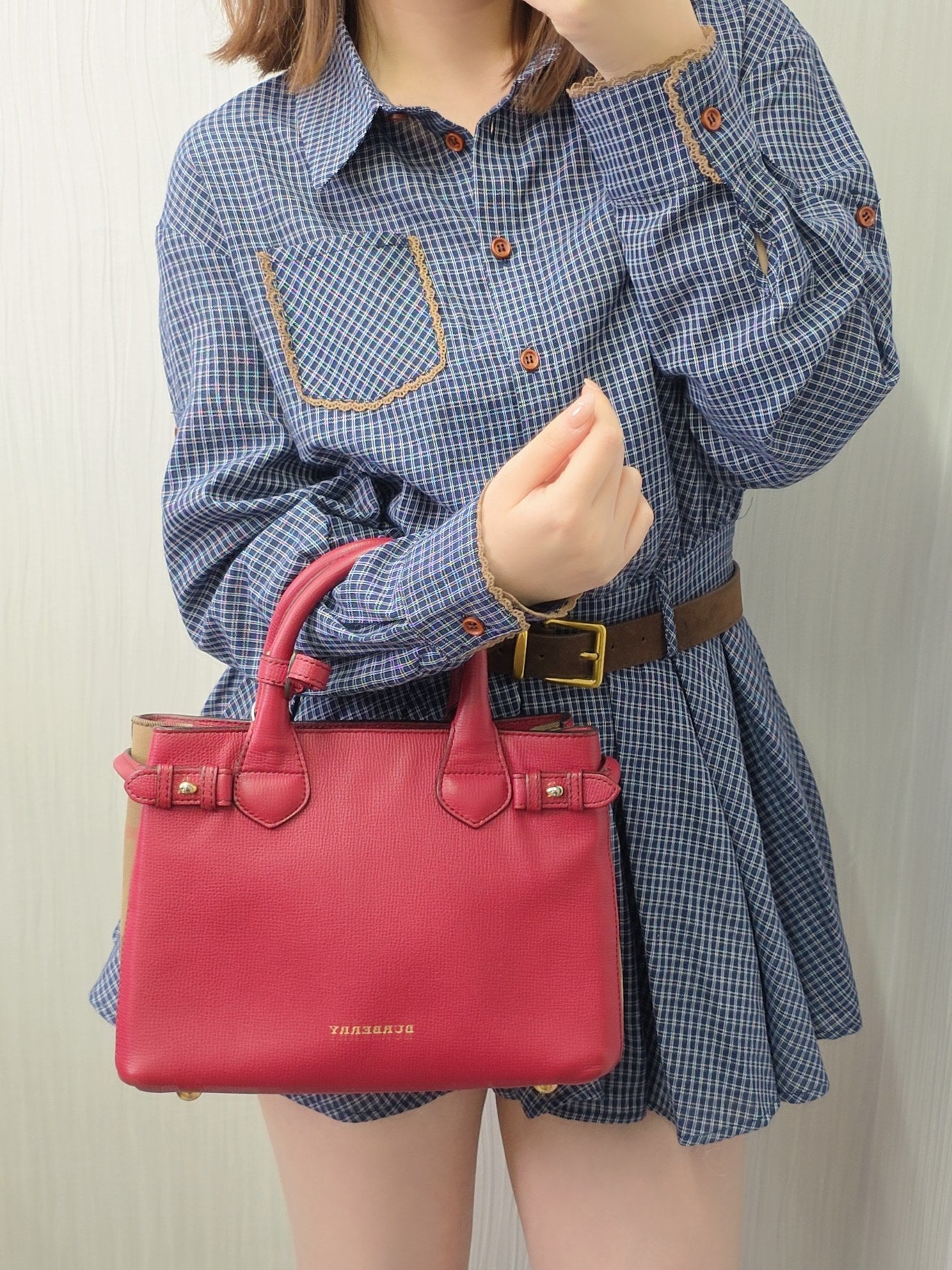 BURBERRY Handle / Crossbody Bag (Pre-owned)