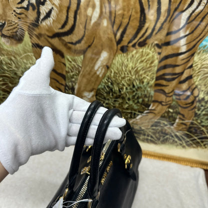 Miu Miu Handheld and Crossbody Bag [Pre-Owned]