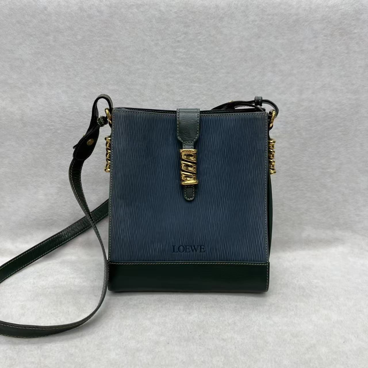 LOEWE Blue-Green Colorblock Snakeskin Crossbody Bag [Pre-Owned]