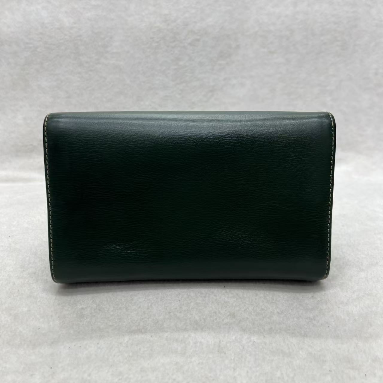 LOEWE Blue-Green Colorblock Snakeskin Crossbody Bag [Pre-Owned]