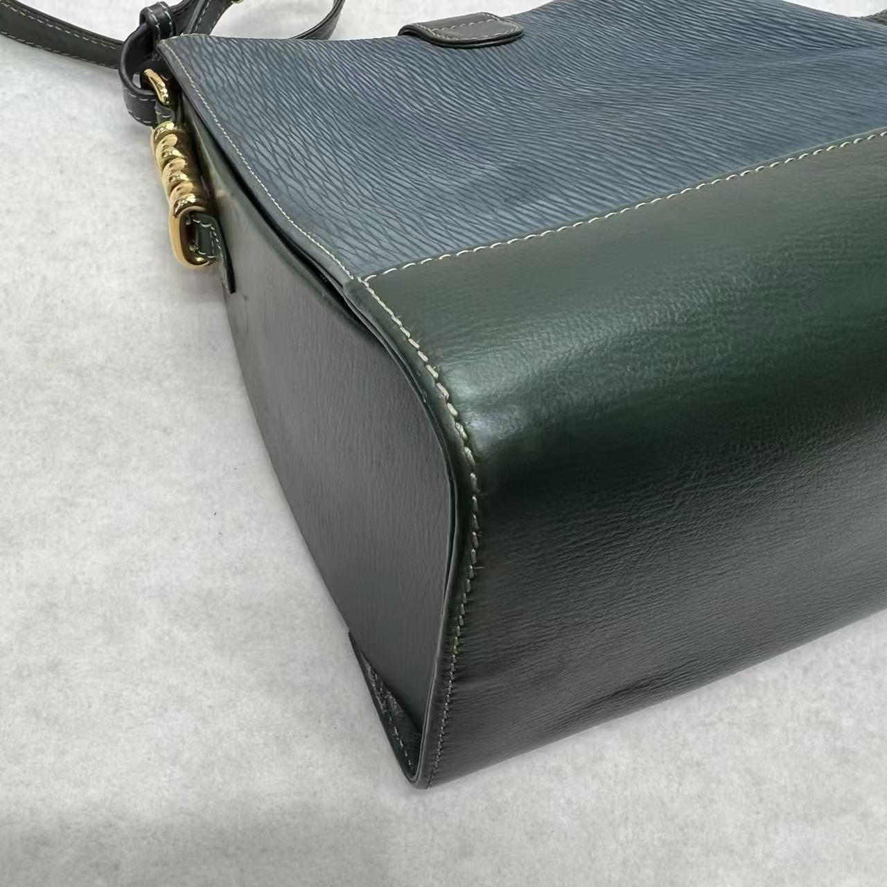 LOEWE Blue-Green Colorblock Snakeskin Crossbody Bag [Pre-Owned]