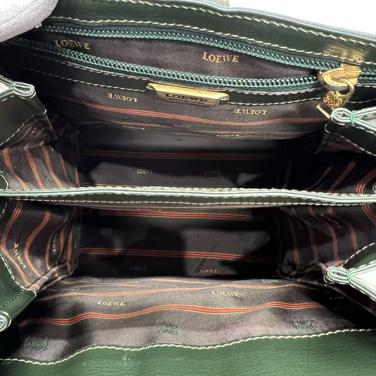 LOEWE Blue-Green Colorblock Snakeskin Crossbody Bag [Pre-Owned]